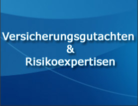 Versicherungsgutachten und Risikoexpertisen